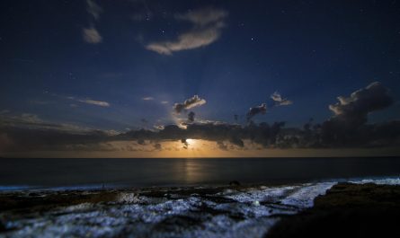 découvrez 'eternity', un voyage intemporel à travers les paysages de l'âme. plongez dans une exploration de la beauté, de la mélancolie et de l'amour éternel. un récit captivant qui transcende les frontières du temps et de l'espace.